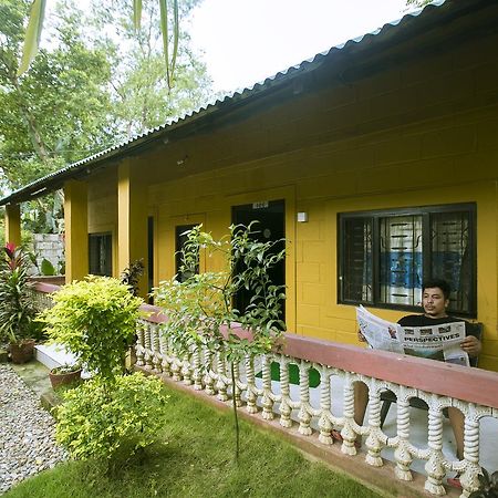 Sauraha Nana Hotel エクステリア 写真