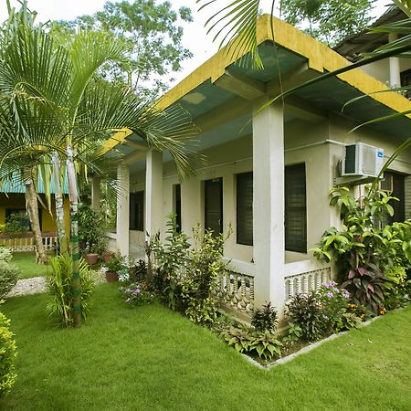 Sauraha Nana Hotel エクステリア 写真